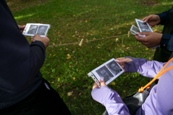 Ülekooliline linnaorienteerumine